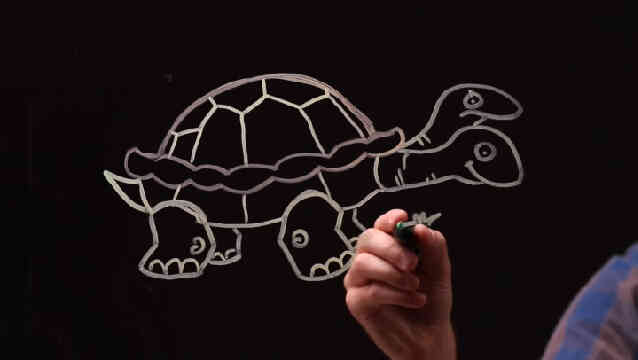  Gewusst wie: zeichnen Sie eine zweiköpfige Schildkröte