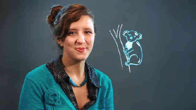  Wie zeichne ich einen Koala auf einem Ast