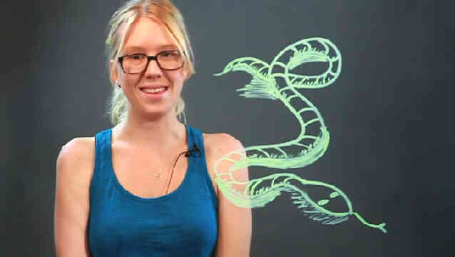  Gewusst wie: zeichnen Sie 3D Schlangen