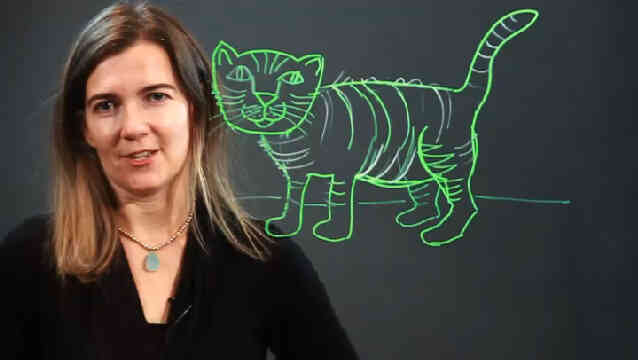  Gewusst wie: zeichnen eine Katze in 3D