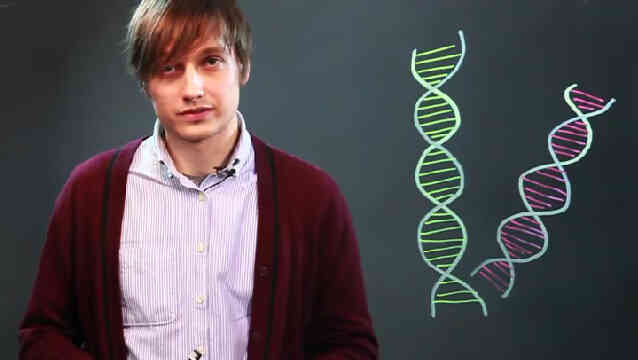  Gewusst wie: zeichnen Sie DNA-Strukturen