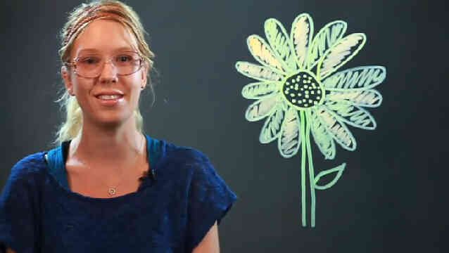  Gewusst wie: Zeichnen von Sonnenblumen für Kinder