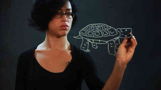  Wie zeichne Wüstenschildkröten
