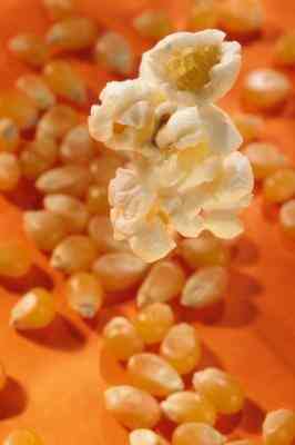 Wie zu Zeichnen Popcorn