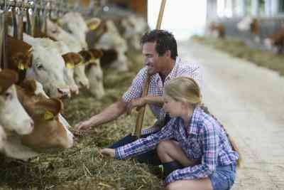  Die IRS-Anforderungen für die Einreichung von Farm-Status