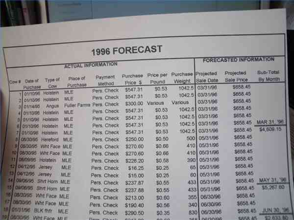  Bilanz/GuV-Forecasting-Prozess