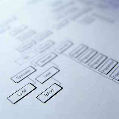  Organisationsstruktur der soziale Dienstleistungsorganisation