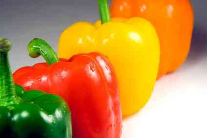Publix Code of Ethics