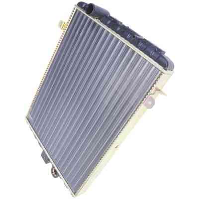 Radiator Leak-Symptome