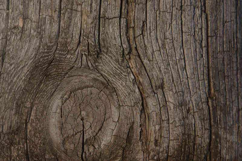 How to Gain a Wood-Grain-Look Aus Canvas