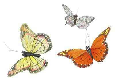 Wie erstelle ich ein Schmetterling-Modell