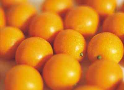 Wie zu Trocken, Ganze Orangen für Handwerk