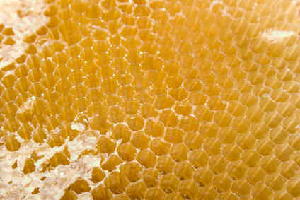Wie zu Bereiten Bienenwachs