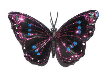 Wie man einen Schmetterling Mit Flügeln-Kostüm