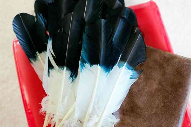 Wie man ein Native American Chief Kopfschmuck