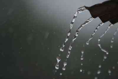 Regenwassernutzung Projekte für Kinder