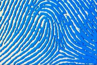 Fünften Klasse Wissenschaftsprojekte über Fingerabdrücke