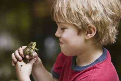Frosch-Science-Projekte