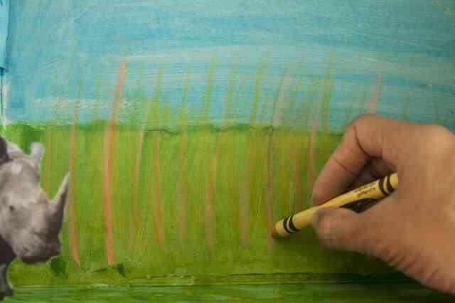 Creative Biome-Kunst-Projekt-Ideen