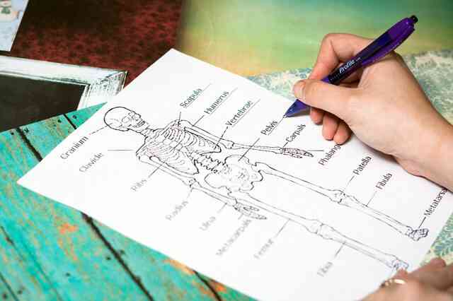 Diagrammtypen