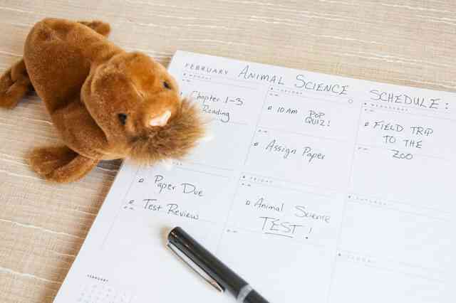 so Erstellen Sie eine Homeschooling Curriculum