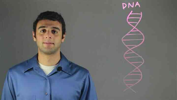 Größe der DNA-Helix