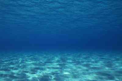 Fun Facts on the Ocean Floor