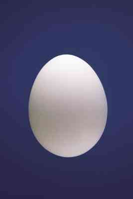 Egg Drop Herausforderung Ideen