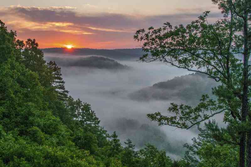 Erfindungen Aus Arkansas