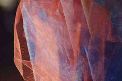 Organdy Vs. Organza