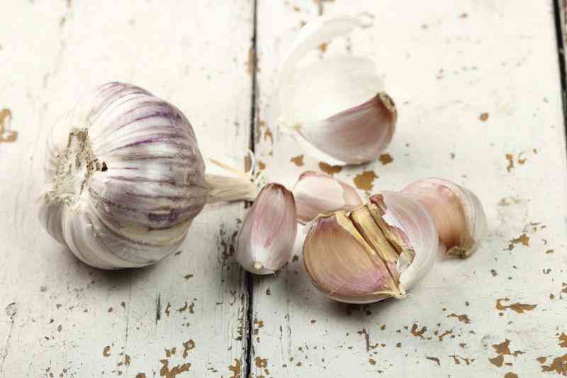 Wie zu Pflanzen Knoblauch in Washington State