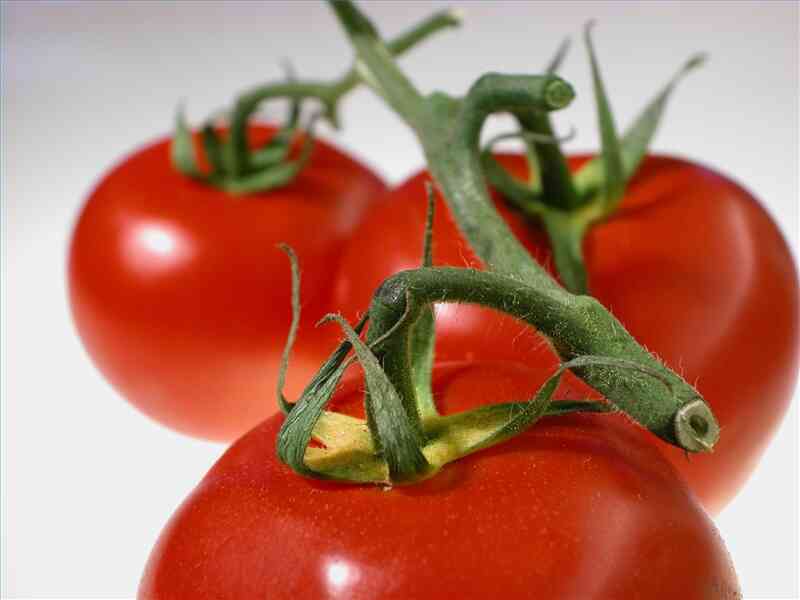 Wie Sie wissen, Tomaten AllergieSymptome