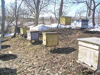How to Paint Bee Hives