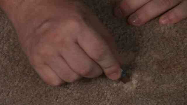 Haushaltstipps für Entfernung von Bleichmittel Flecken aus einem Teppich