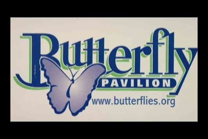 Denver Schmetterlingspavillon: Übersicht