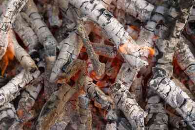 Wie grüne Brennholz zu verbrennen